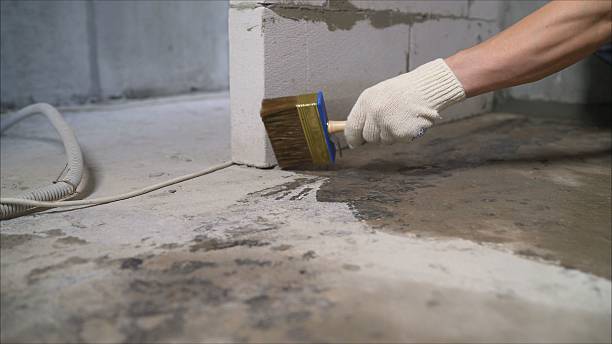 24/7 Emergency Wet Basement Repair experts in New Buffalo, MI